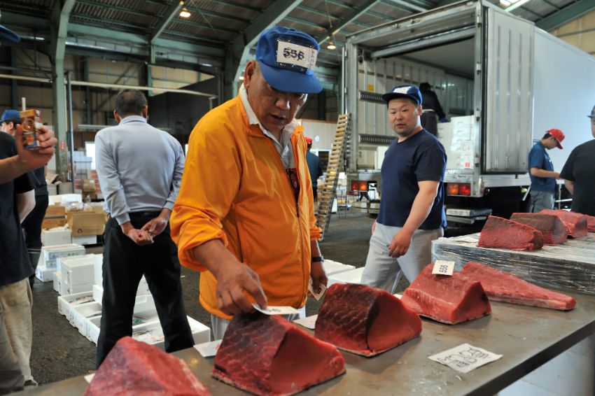 鹿児島産のマグロをゲット！「みのや」の札を貼り付けます