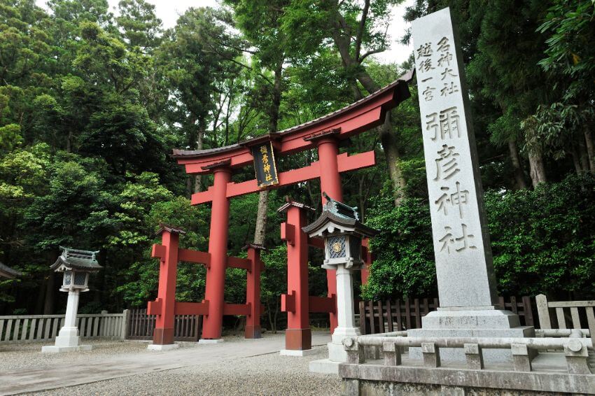 新潟県内で最も格式高く、人気もピカイチの弥彦神社